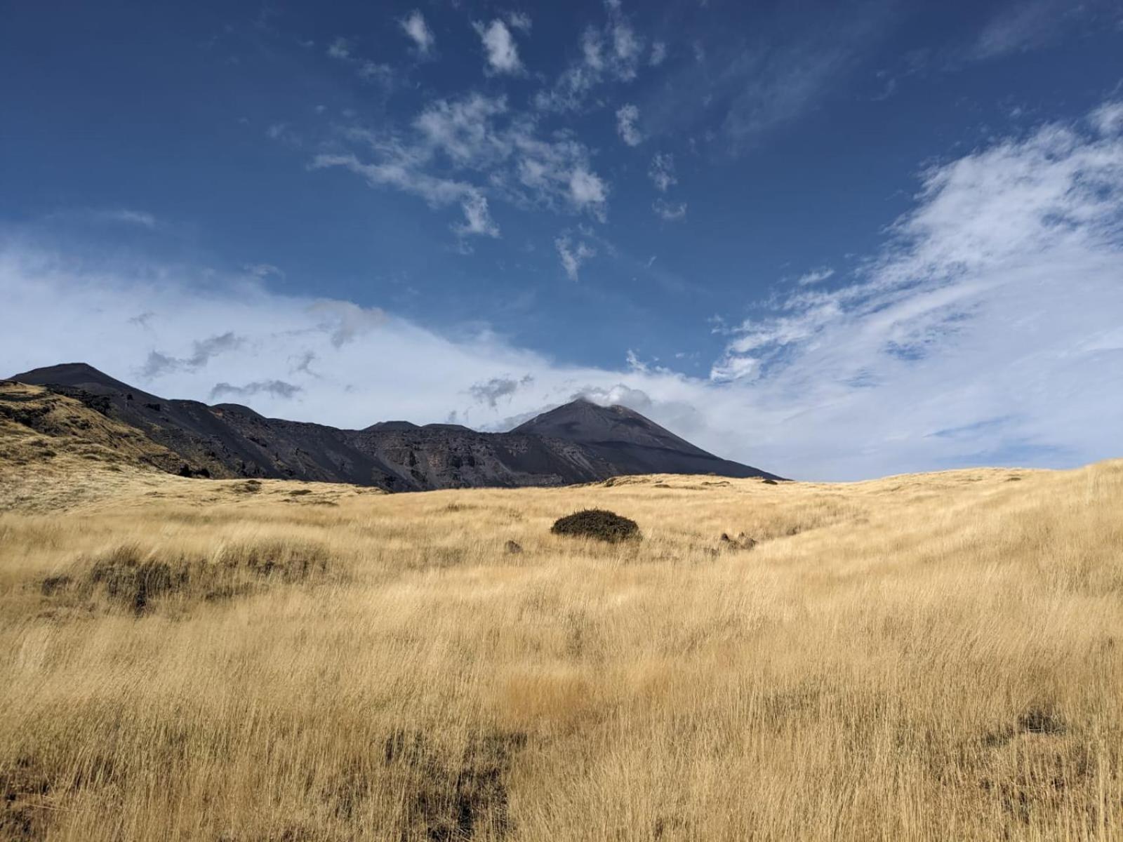 Attico Sul Porto Di Catania E Vista Vulcano المظهر الخارجي الصورة